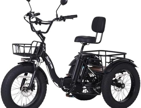 EPISODE 2: CRUISING ON AN AMAZON E-BIKE LISTENING TO DRAKE’S NEW ALBUM ICEMAN